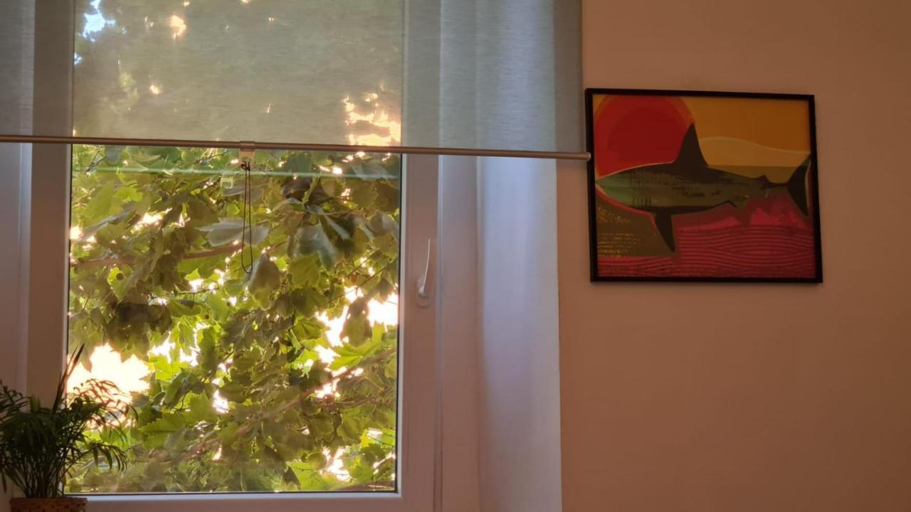 Ladispoli Apartment 外观 照片